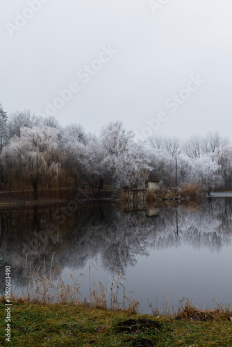 Obraz na płótnie Winter landscape in Moldova on a cloudy day. w salonie
