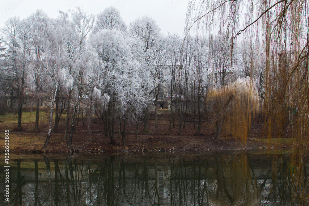 Winter landscape in Moldova on a cloudy day.