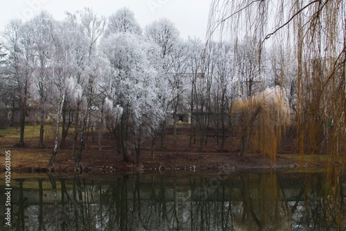 Obraz na płótnie Winter landscape in Moldova on a cloudy day. w salonie