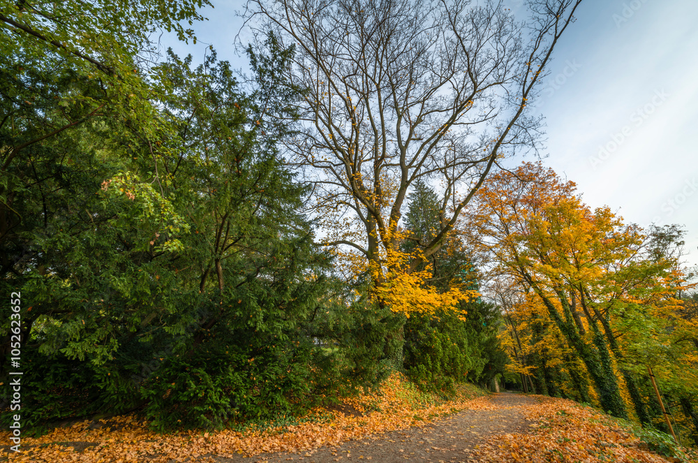 Fototapeta premium Castle park near Zlaty creek and waterfall in autumn evening in Opocno town