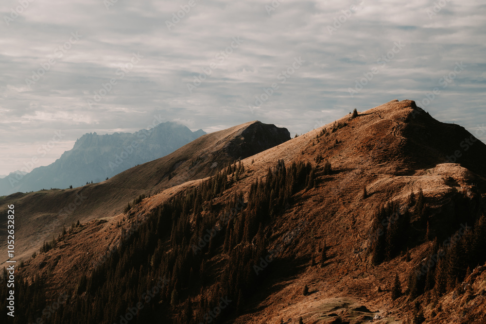 Alpine mountain scenery in the Austrian Alps, Pinzgau, Salzburg Land, Austria