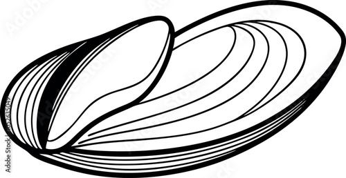Artistic Line Drawing of Mussels Vector Illustration for Sea Life Lovers