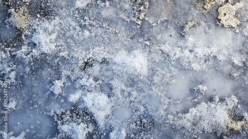 A closeup of frost on the ground in winter photo