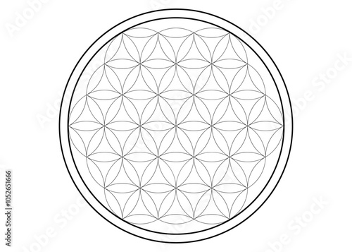 flower of life outline vector for background wallpaper template decoration symbol 