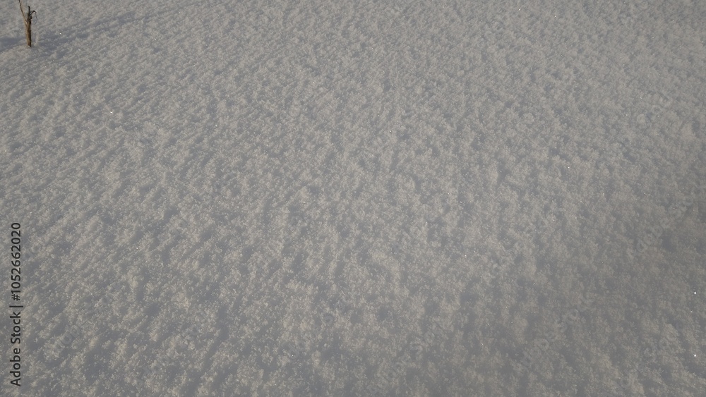 Obraz premium Just snow