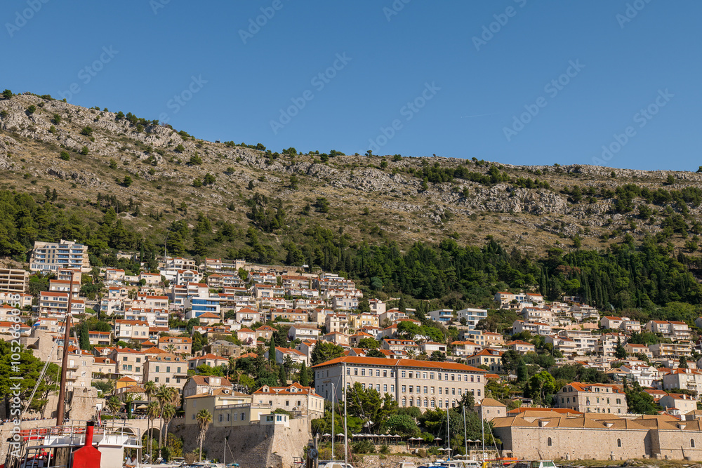 Dubrovnik old town walls with a new residential area above and green coniferous trees Dubrovnik old town walls with a new residential area above and green coniferous trees