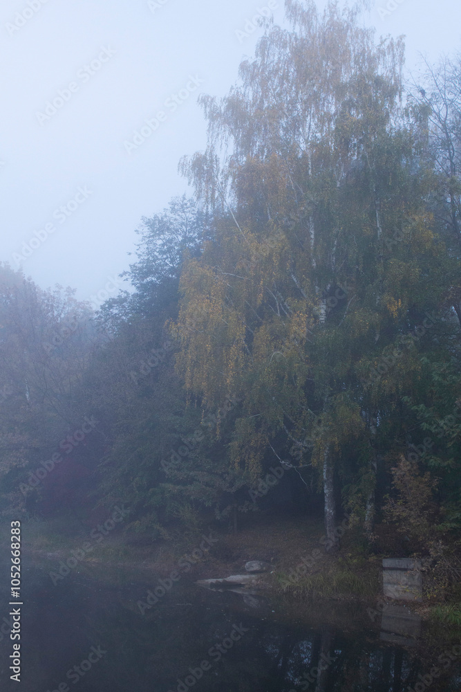 Autumn in Moldova, foggy landscape in the park. Thick fog early in the morning on the lake shore.