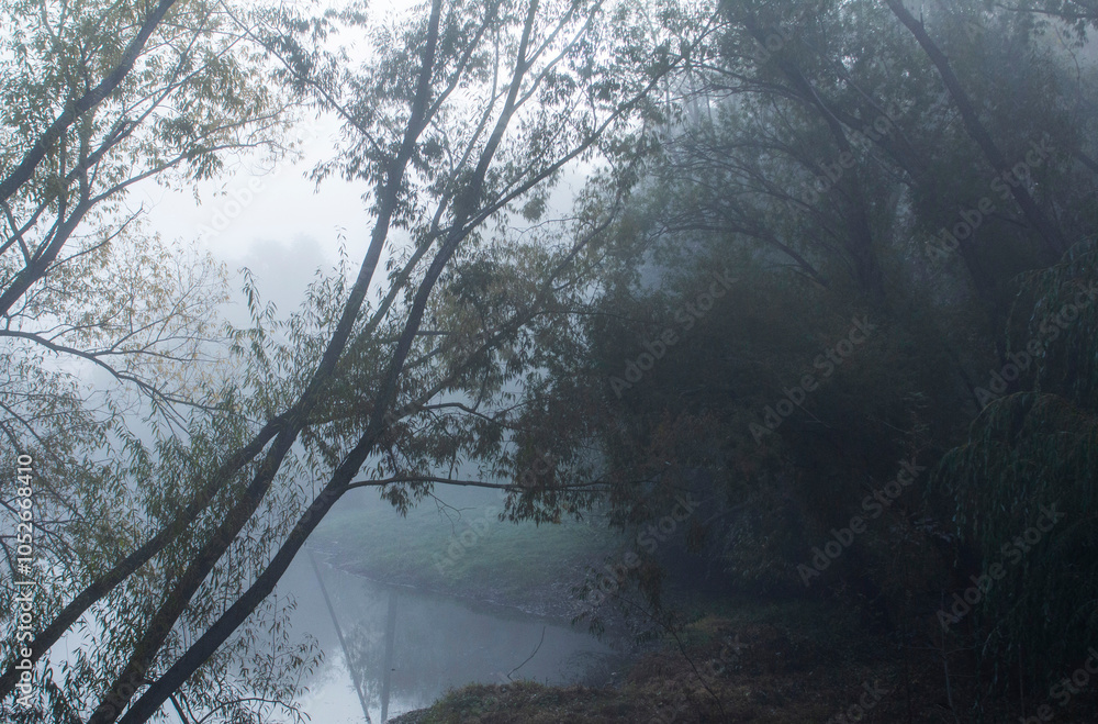 Autumn in Moldova, foggy landscape in the park. Thick fog early in the morning on the lake shore.
