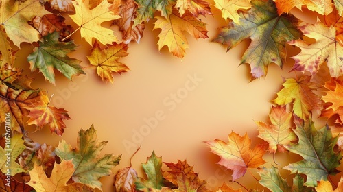 Colorful Autumn Leaves Frame