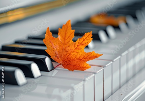 Autumn Leaf Resting on Piano Keys