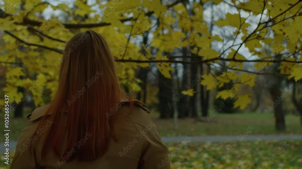 A woman in a sweater and coat pulls a tree branch with yellowed leaves in an autumn park
A woman in a sweater and coat pulls a tree branch with yellowed leaves in an autumn park