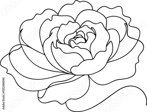 Modern Peony Single Line Drawing for Minimalist Decor
