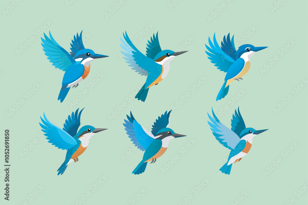Obraz premium Belted Kingfisher Bird in flying movement vector artwork. eps