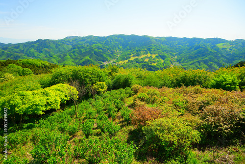 美の山公園　埼玉県秩父郡 photo