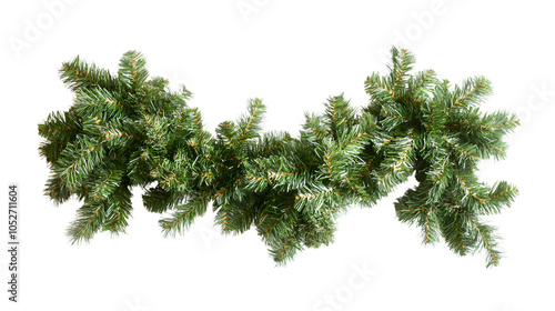 Christmas Tree Branches Garland on White Background,