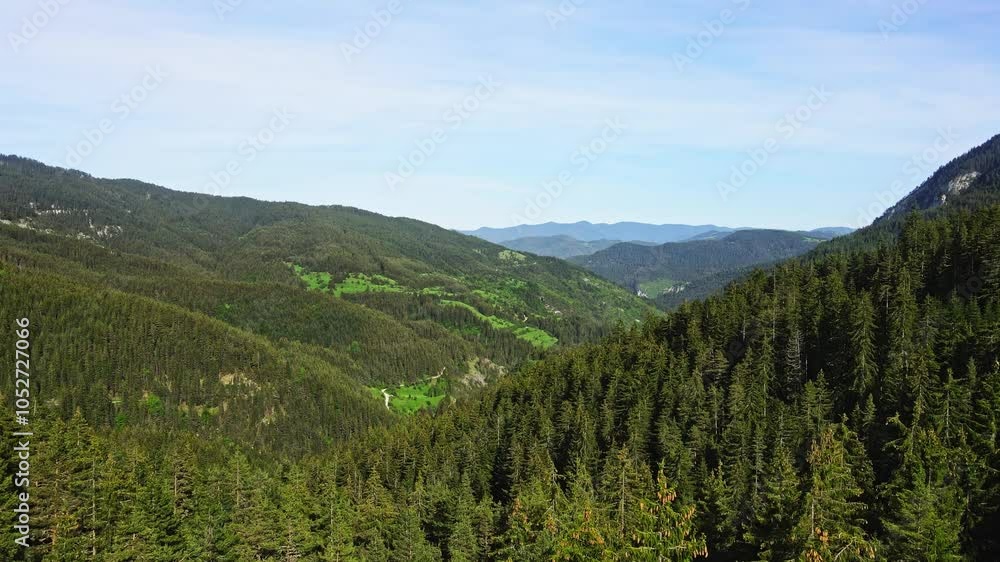 Ascend Above Evergreen Forest Reveal Alpine Summer Landscape Ascend Above Evergreen Forest Reveal Alpine Summer Landscape