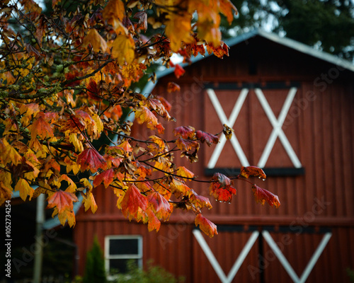 Red Barn with colorful autumn leaves