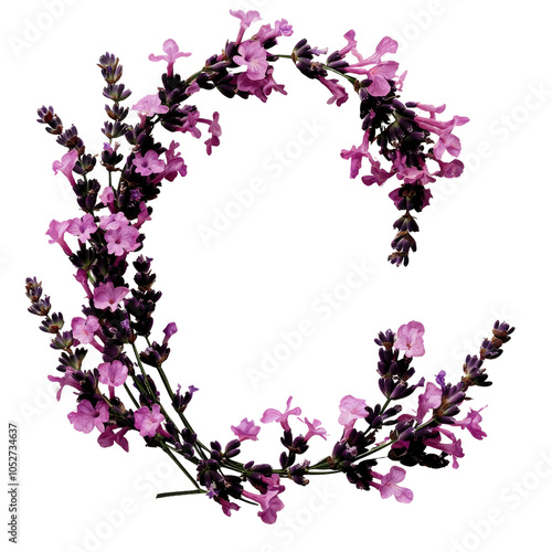 Lavender Flower Wreath on Black Background