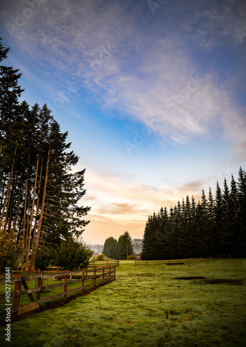 Sunrise at a farm in Oregon forrest