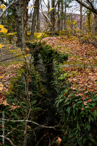 Little Rock City, a landmark of geologic interest located in Rock City State Forest in New York. photo