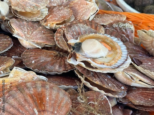 Full frame image of raw scallops in weathered shells photo