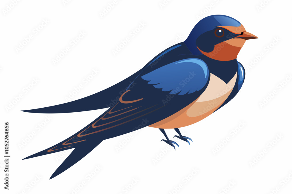 Obraz premium Barn Swallow, Hirundo rustica, perching against white background