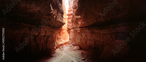 Panoramic image of Bryce Canyon National Park, Utah, United States