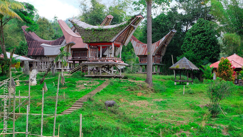 A picturesque scene of traditional wooden houses with bamboo framework and a verdant grassy landscape. Toraja Traditional House photo