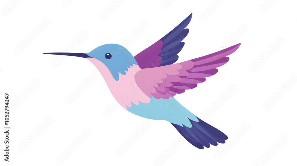 Fototapeta premium Hummingbird on White Background,