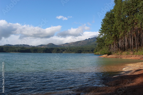 La Yeguada Forest Reserve, La Yeguada Reserva Forestal, Calobre, Veraguas, Panamá photo