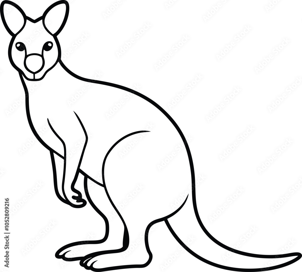 kangaroo illustration on white background kangaroo illustration on white background