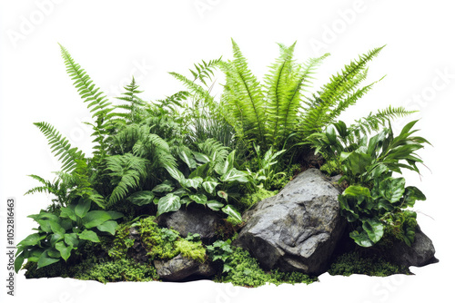 Lush green ferns intermingled in a small garden, creating a serene and vibrant natural setting.