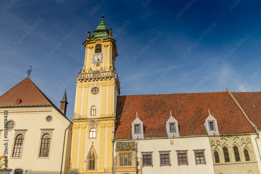 Fototapeta premium Bratislava, the capital of Slovakia cityscape. The churches and castle in the old city center
