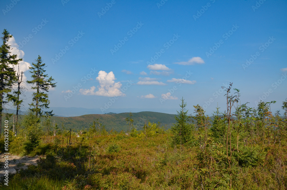 Obraz premium Multi-coloured panorama in the Beskid Mountains on the way to Barania Gora