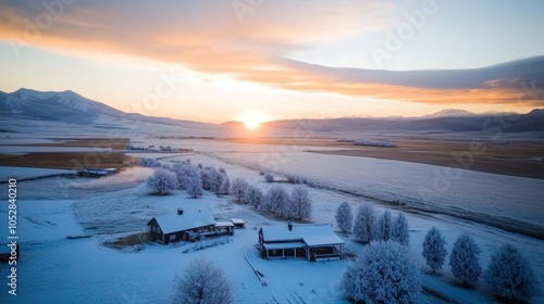 Christmas tree farm in snowy American countryside families picking trees