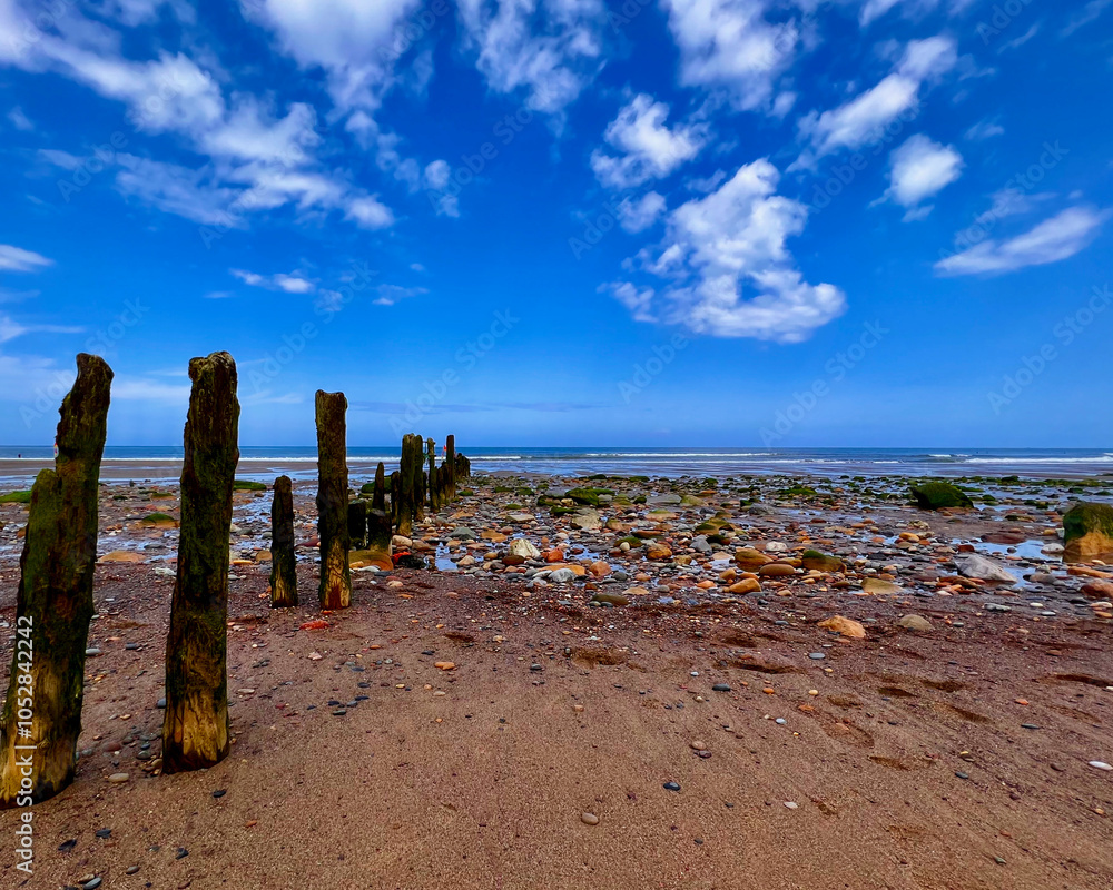 Wooden Posts Leading to the Sea Wooden Posts Leading to the Sea