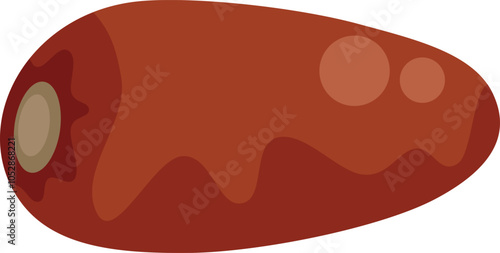 This vector illustration shows a date fruit in all its glory, perfect for showcasing this sweet and nutritious fruit