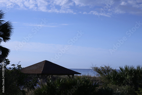 trees on the beach