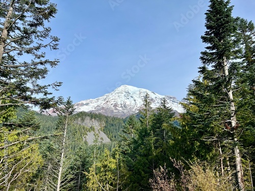 mt rainier national park photo