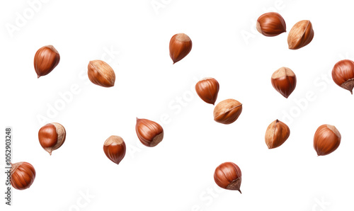 Fototapeta Naklejka Na Ścianę i Meble -  Falling hazelnuts on transparent background