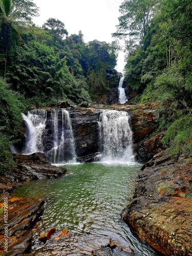 waterfall in the forest