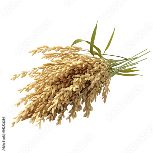 A close-up of a bundle of dried rice stalks with the grain still attached.