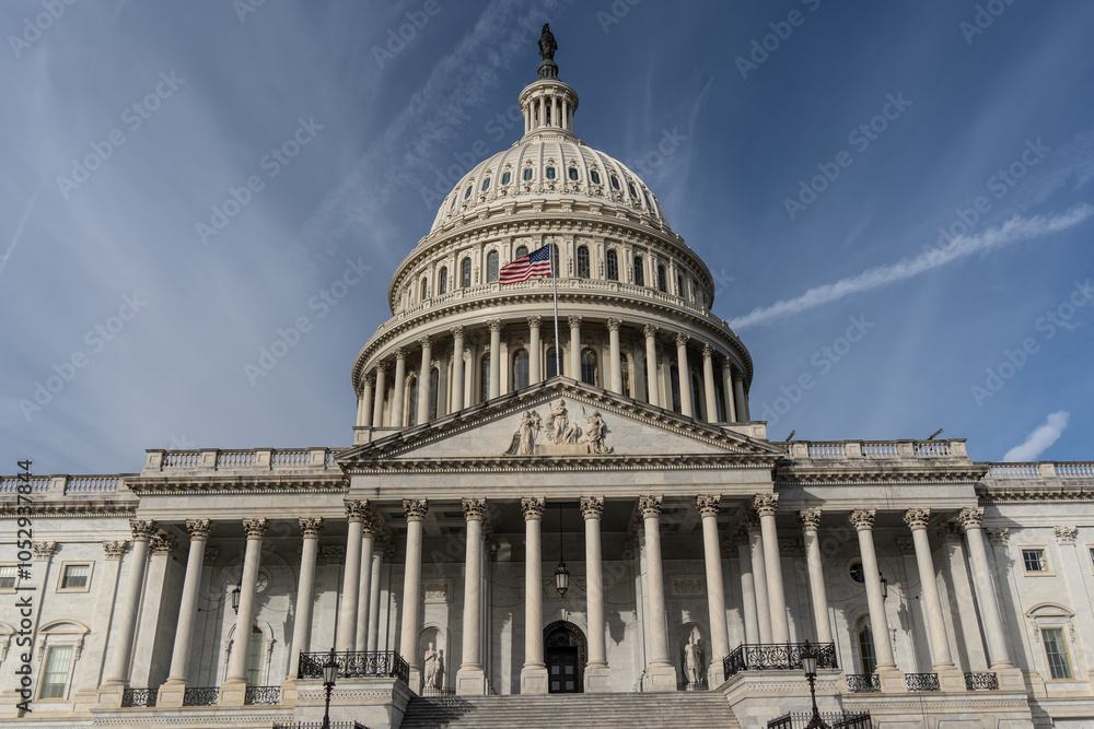 Naklejka premium US Capitol Building in Washington DC