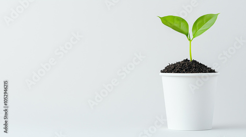Sprout of Hope: A tiny plan...