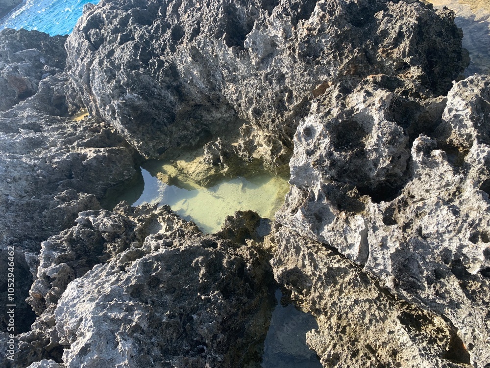Obraz premium Tide pool 2.0