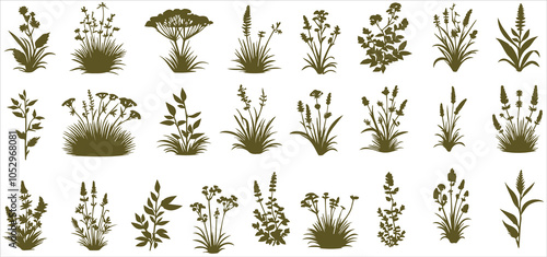 grass and flowers vector