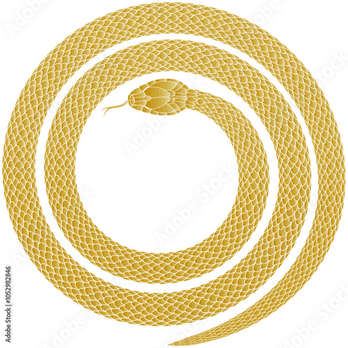 Golden snake coiled in a circle
