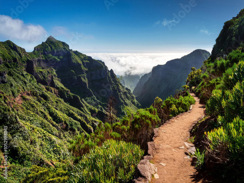 hiking trail in the mountains