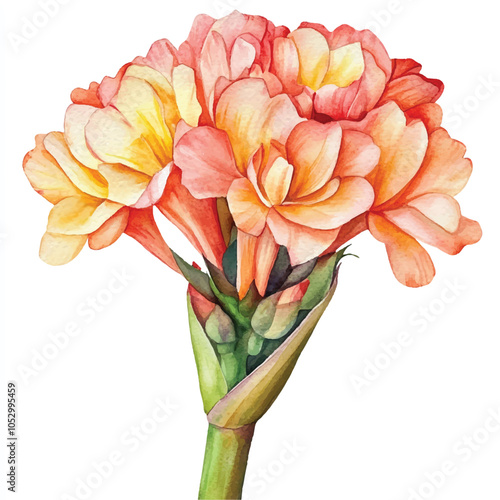 tuberose flower watercolor clipart illustration