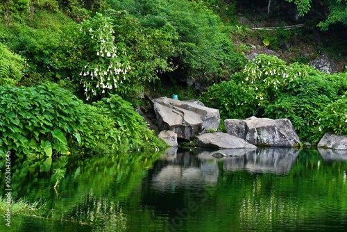 Madirda Lake photo